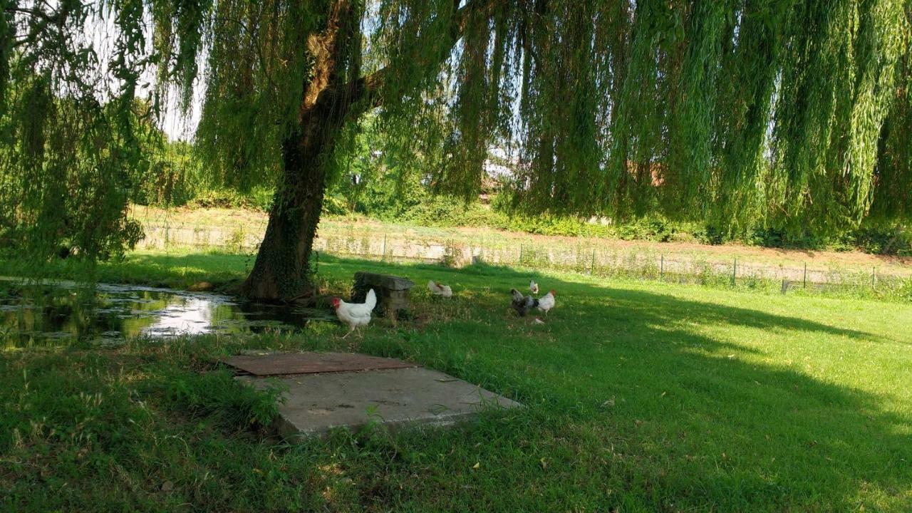 Agriturismo Cascina Poscallone アッビアテグラッソ ミラノ エクステリア 写真